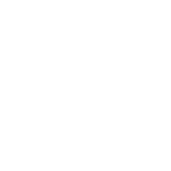 zenn